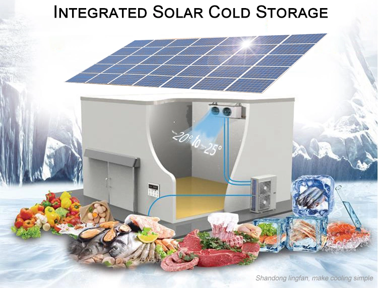 High Quality Quick Frozen Cold Storage Room for Meat Freezer